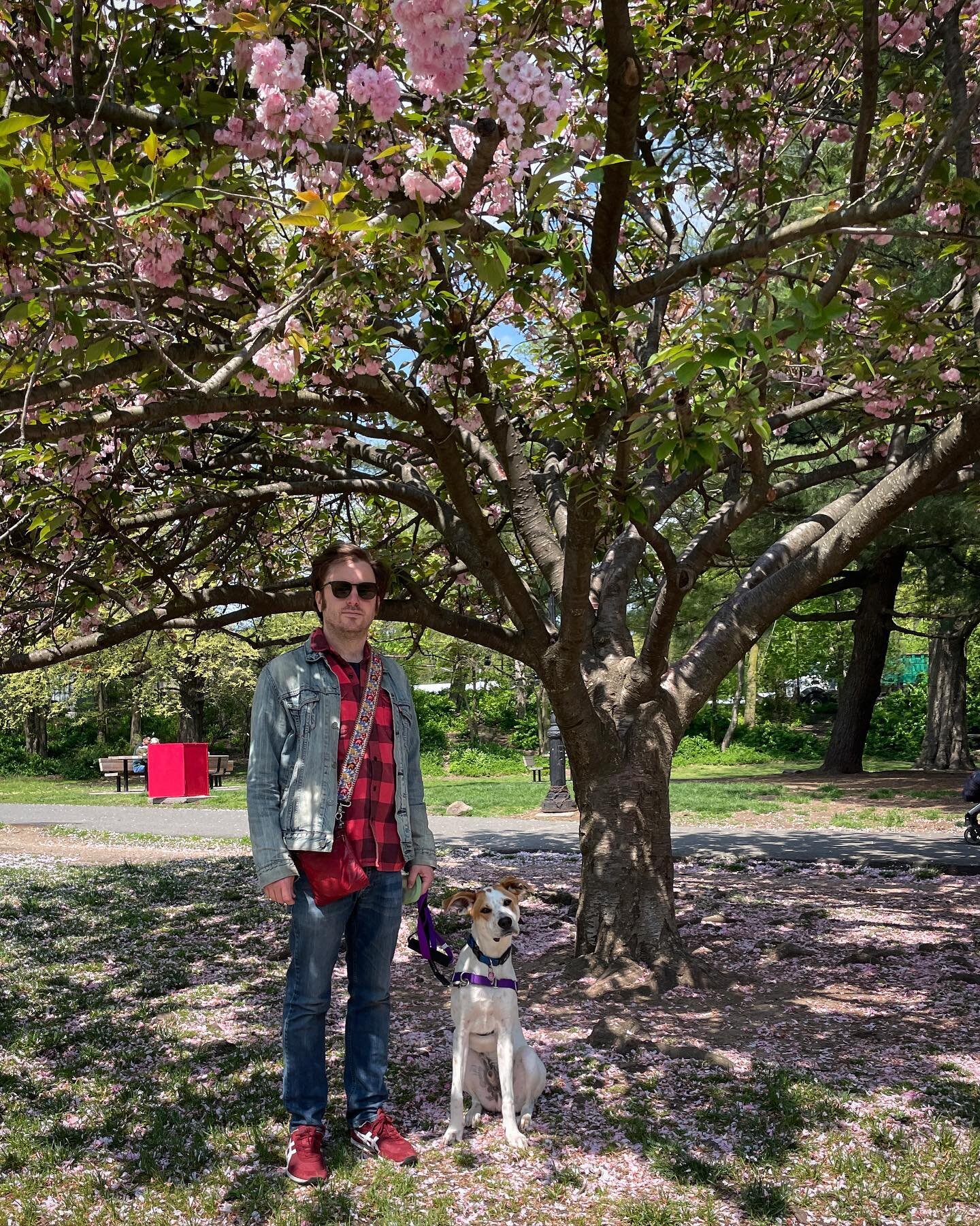 Posting this sunshiny photo of these two cute boys from last week in the hopes it will help this rain rain go away.

#SpecialAgentDaleCooperthePup