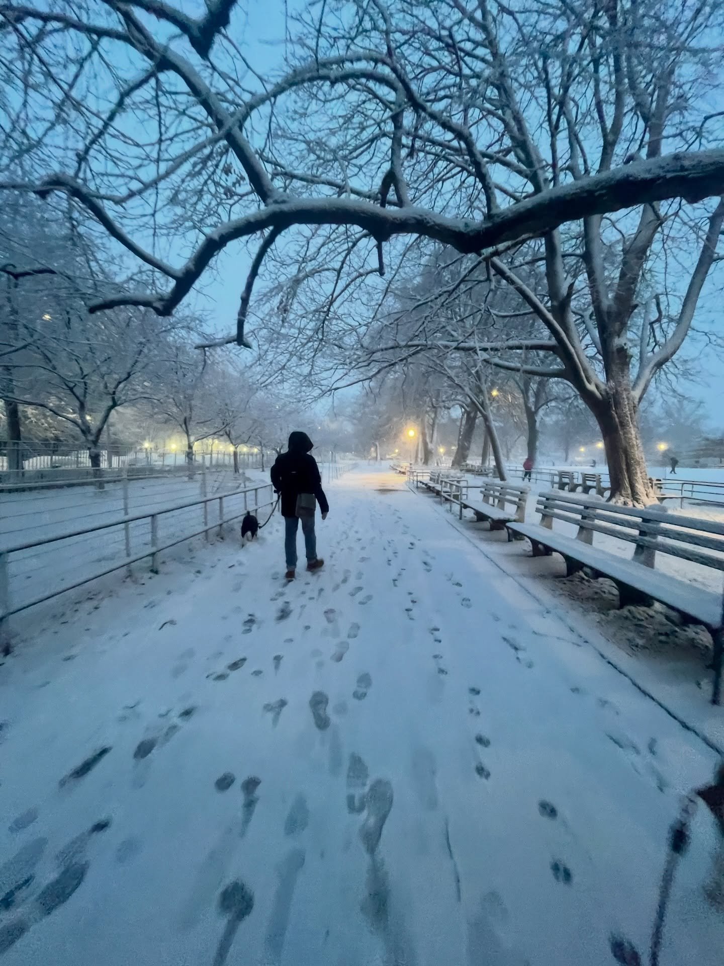 I mean. I was very happy the snow was finally melting. But I can&rsquo;t pretend it doesn&rsquo;t look pretty tonight ❄️