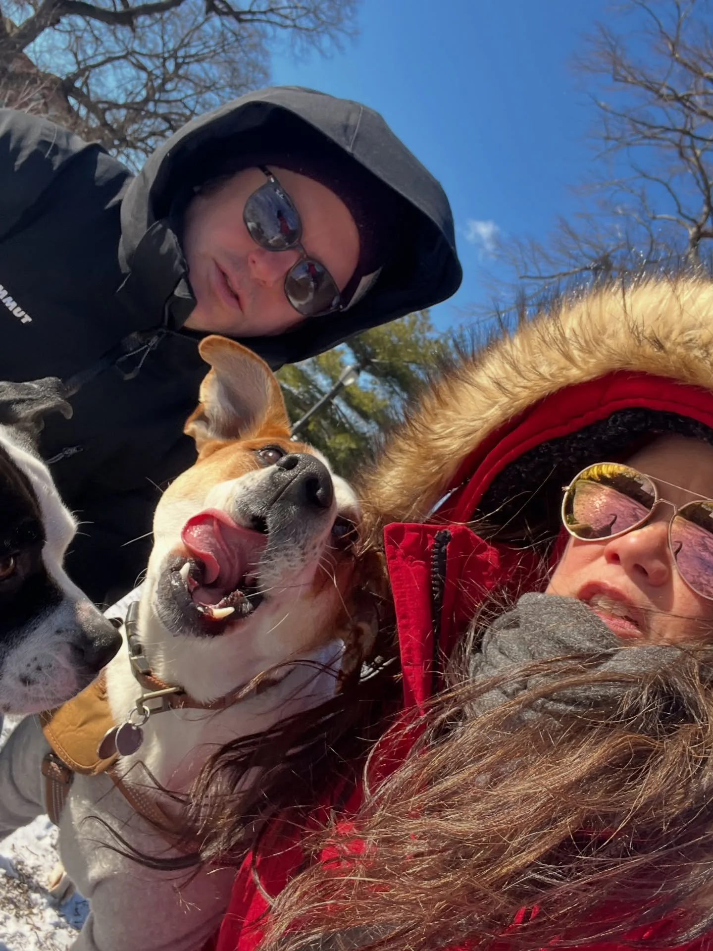 (Very) brisk 1st day of the year walk. 🥶🐶🐾Happy New Year!