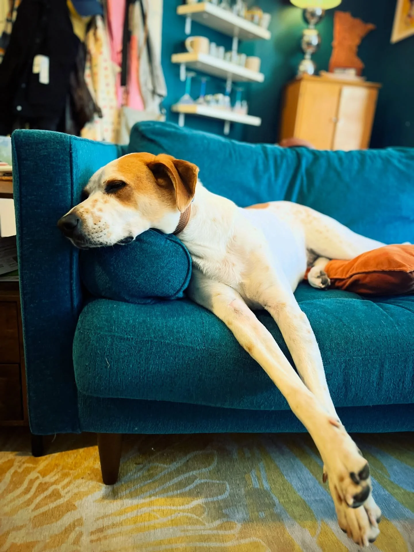 Needed this beauty on the grid. Great 📸 @jefflitman