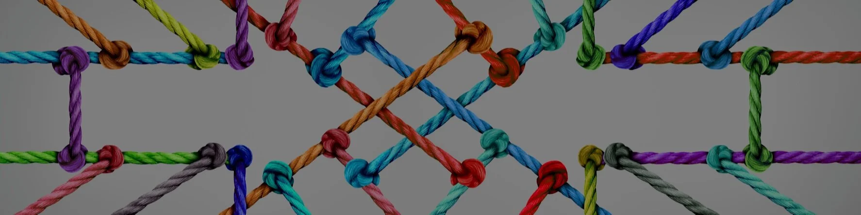 Creating Educational Change Through Social Networks