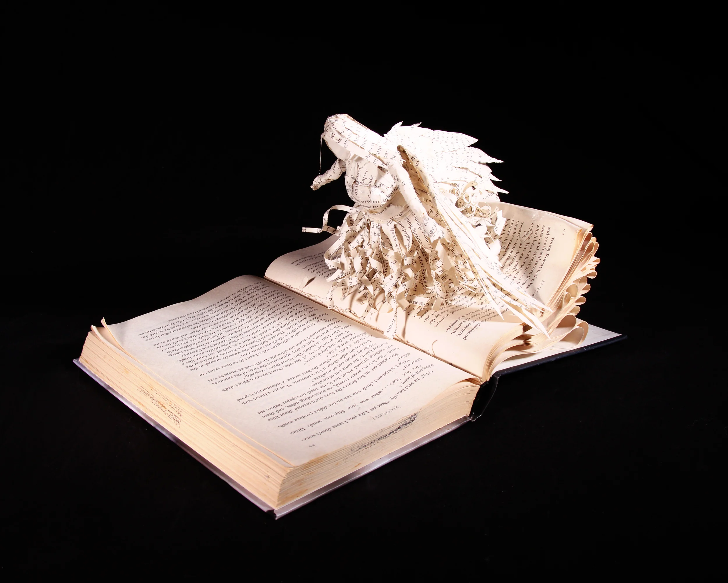 Cerrutti_3D_Books_003 copy.jpg