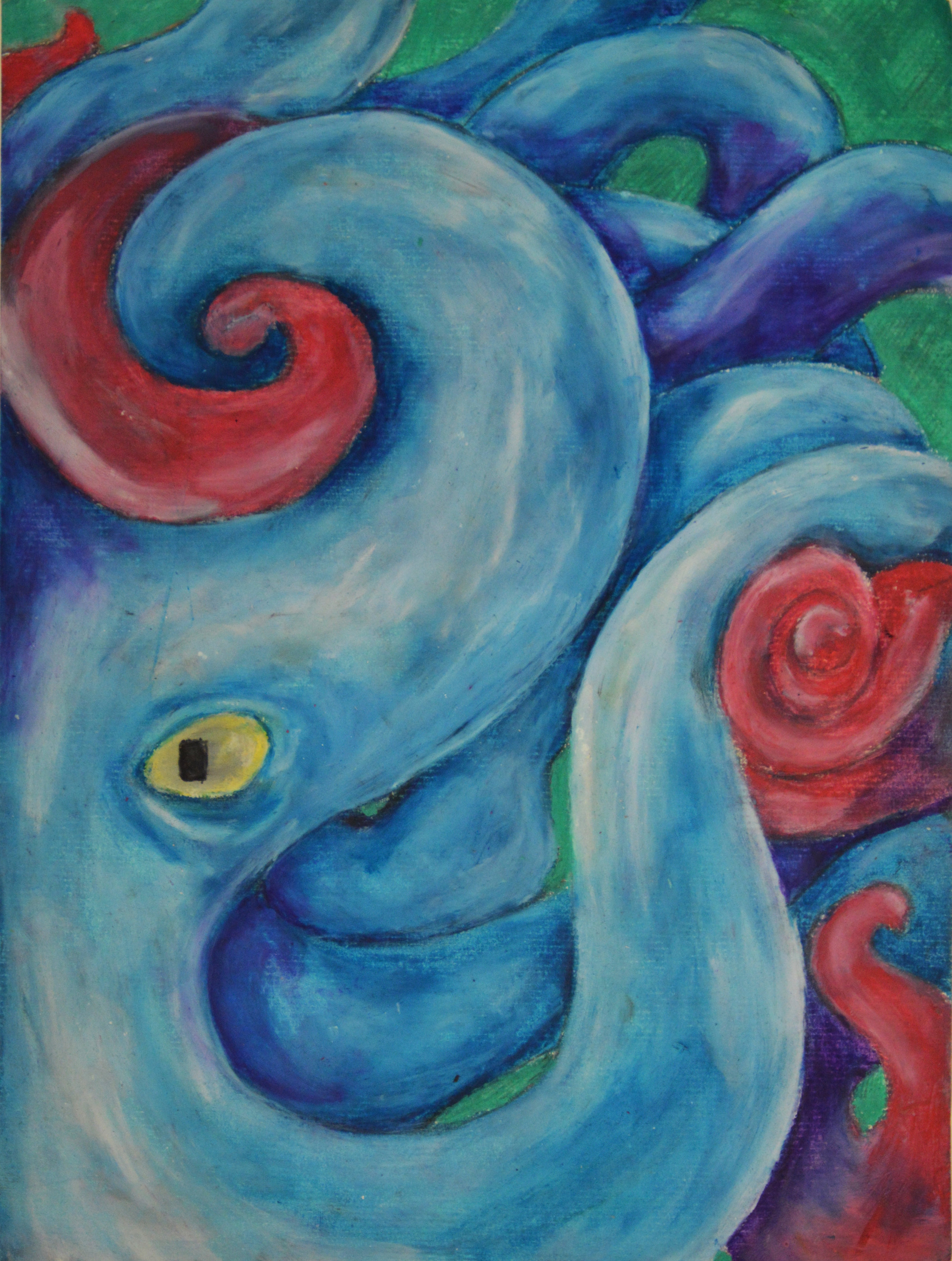 octopus portfolio.jpg