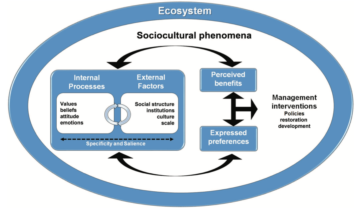 es_framework.png
