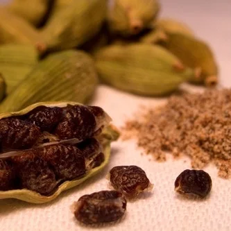 Cardamom CO2 (Elettaria cardamomum): Guatemala
