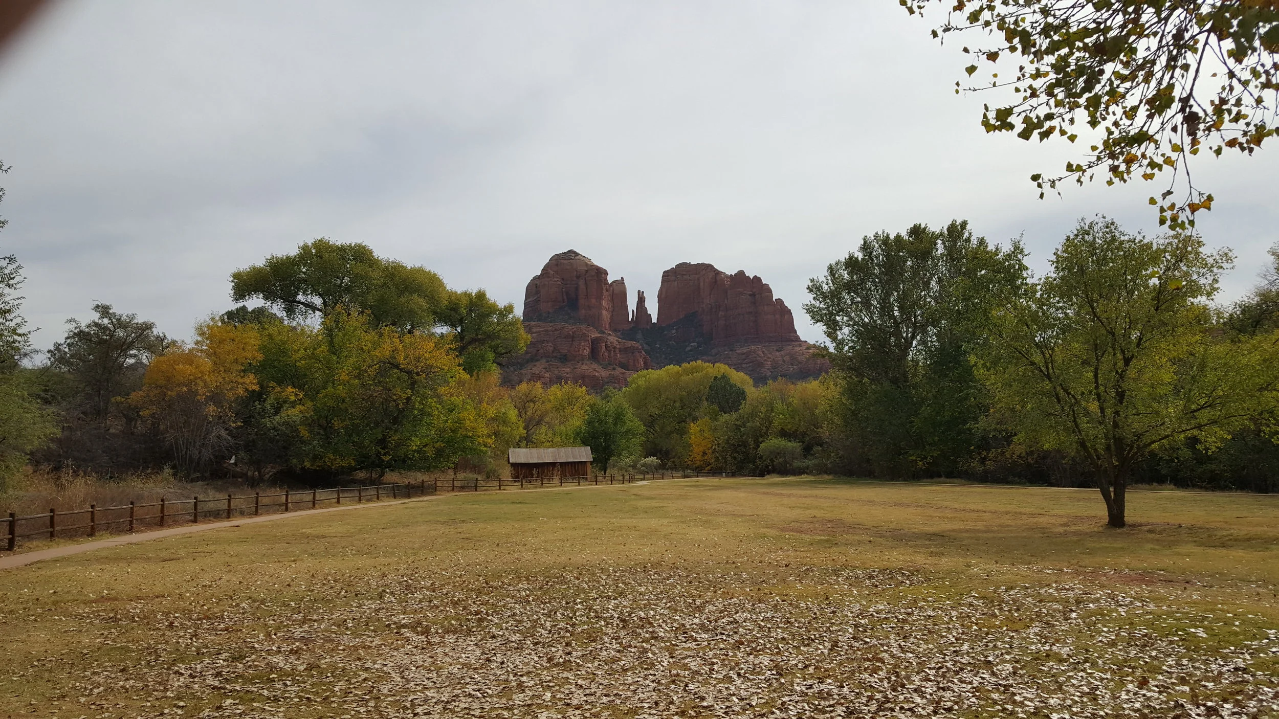20161028_113729.jpg