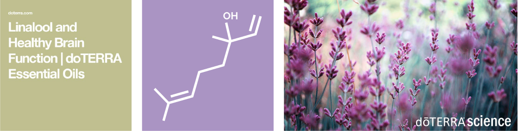 Science-04.png