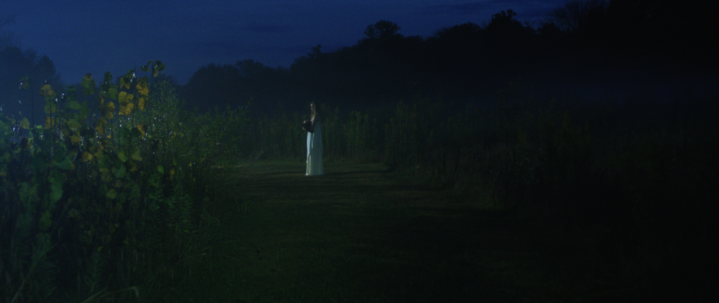 Screen Shot 2017-11-01 at 12.11.38 PM.png