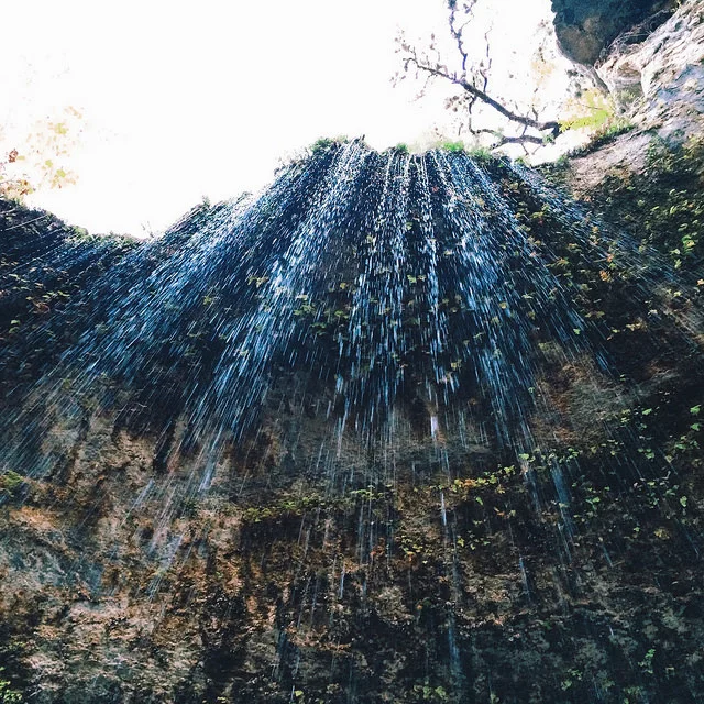 Currently Reading... A General Theory of Love