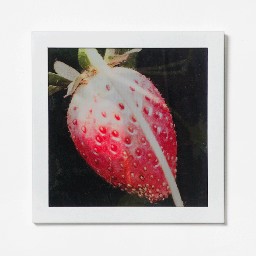 strawberry.gif