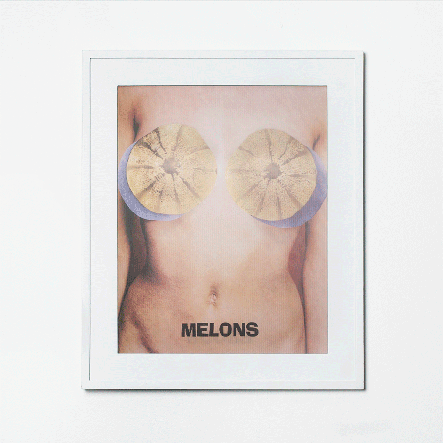 melons.gif