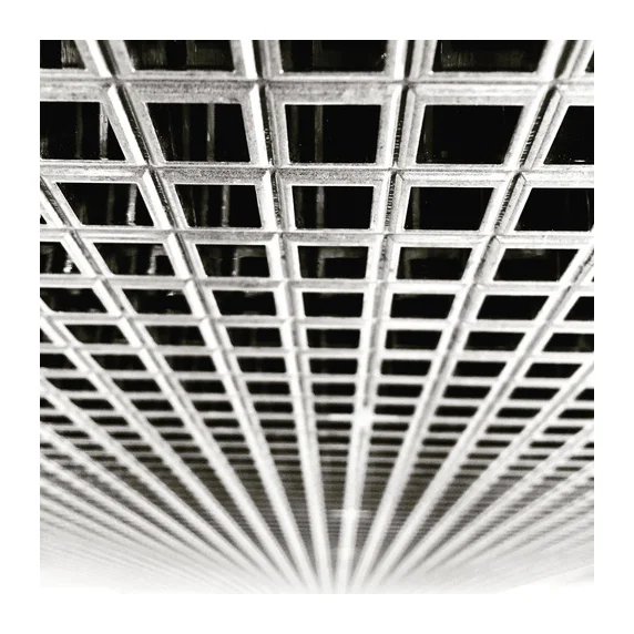  A photo by Lindsey Liss. 