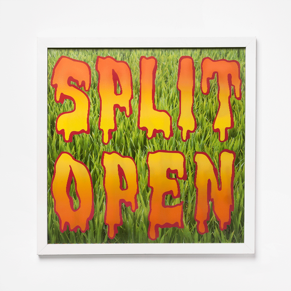 split_open.gif