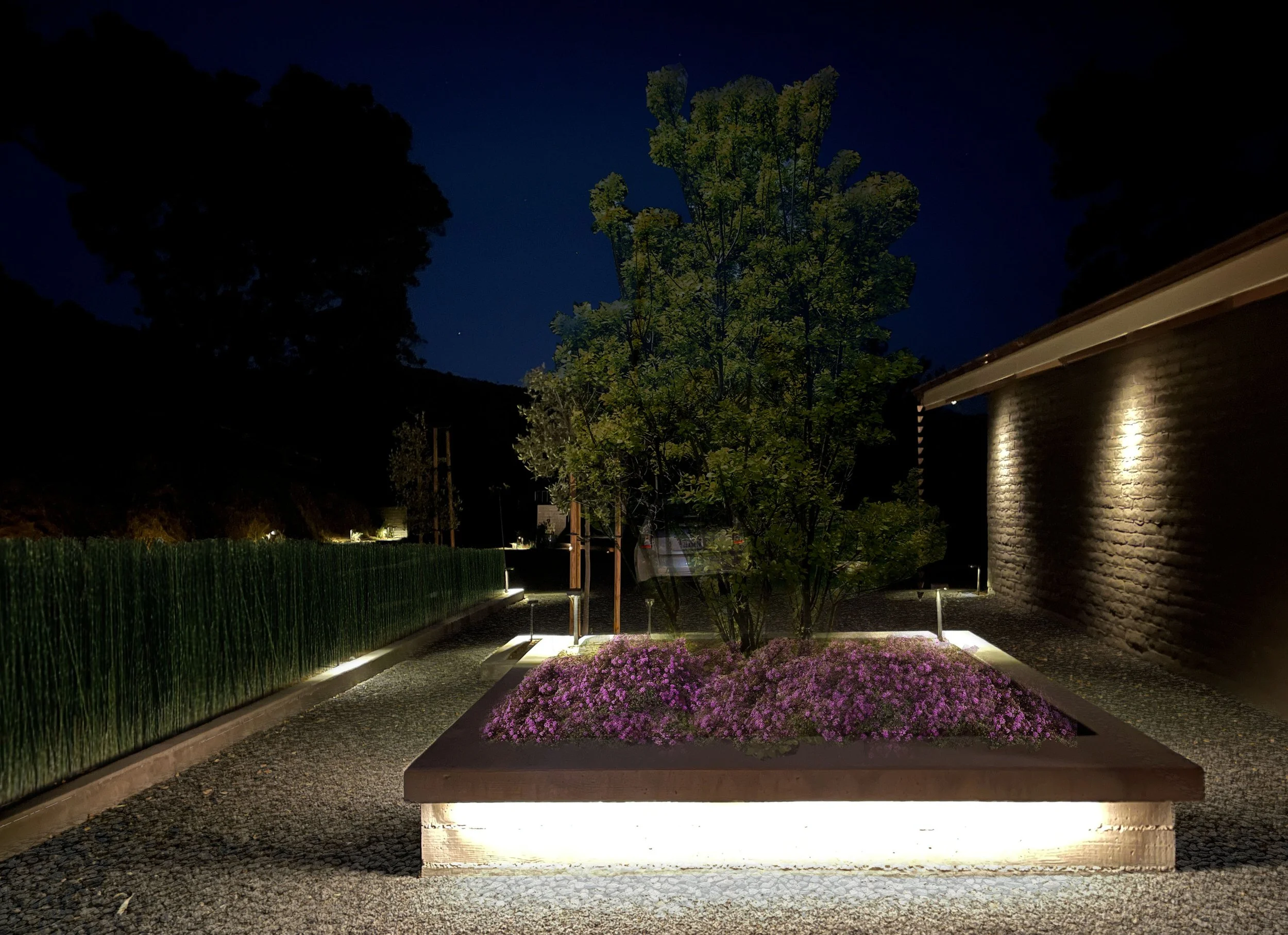 20250604_053423809_iOS PSD copy.jpg