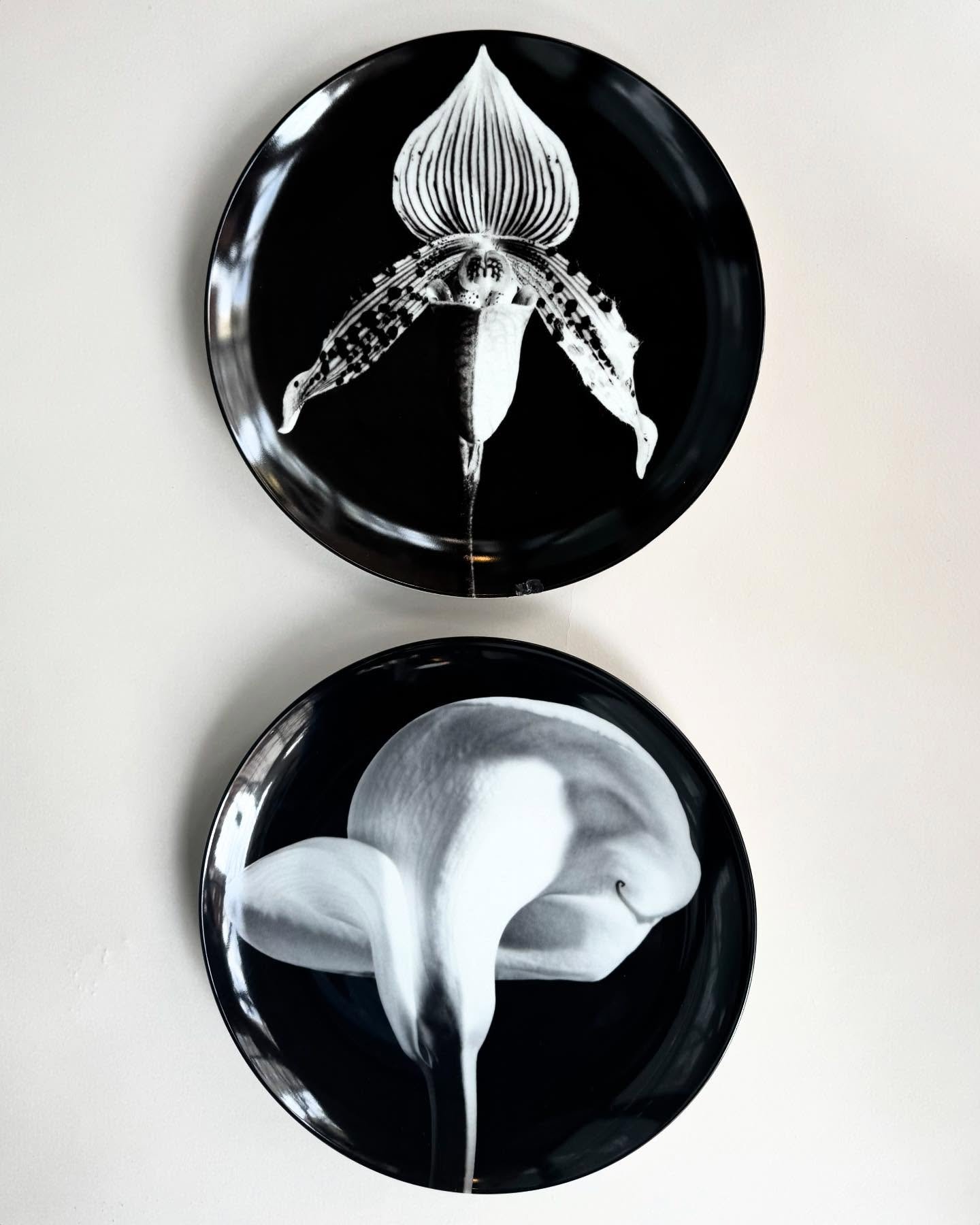 Robert Mapplethorpe Plates &bull; Manufactured by Swid Powell &bull; Made in Japan 12&rdquo; wide &bull; &ldquo;Orchid 1987&rdquo; (top) $95 as-is chipped on edge &bull; &ldquo;Calla Lily 1984&rdquo; (bottom) perfect condition $575
&bull;
&bull;
&bul