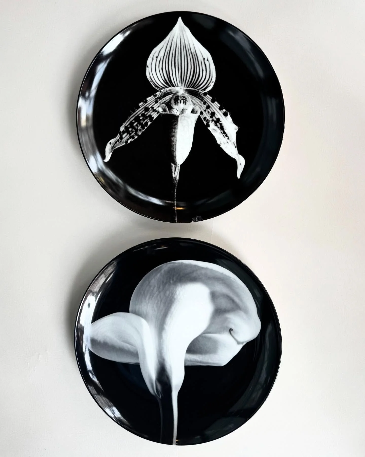 Robert Mapplethorpe Plates &bull; Manufactured by Swid Powell &bull; Made in Japan 12&rdquo; wide &bull; &ldquo;Calla Lily 1984&rdquo; (bottom) perfect condition $575
&bull;
&bull;
&bull;
&bull;
&bull;
#robertmapplethorpe #swidpowell #plate #ceramic 