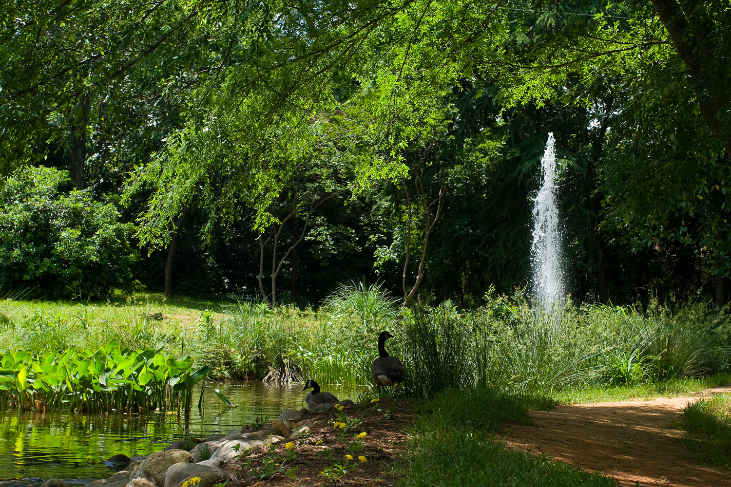 Parks & Gardens  The Fountain Division