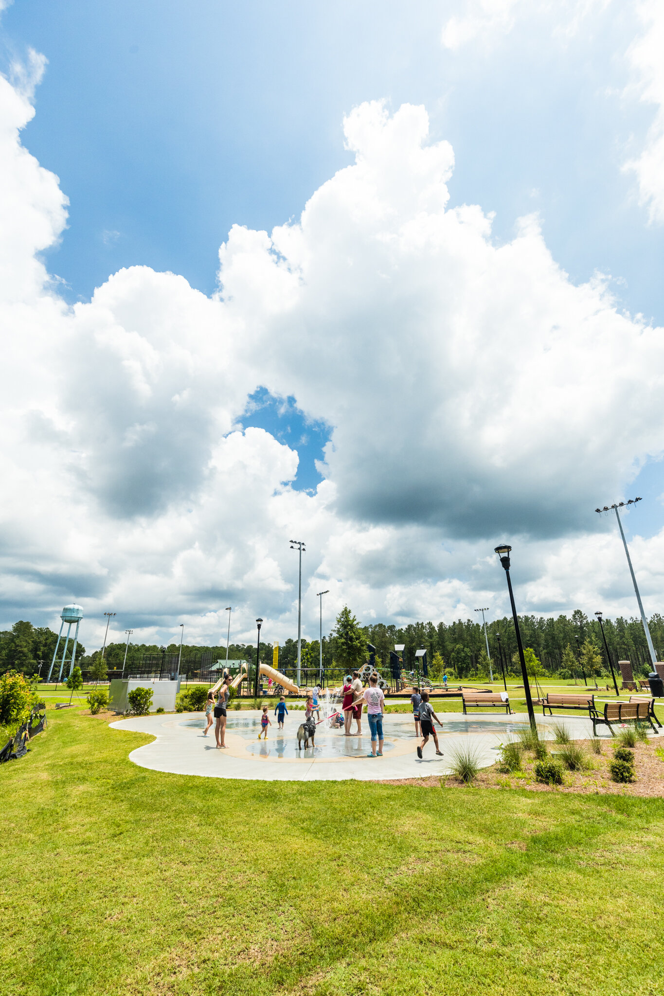 baileydavispark002.jpg