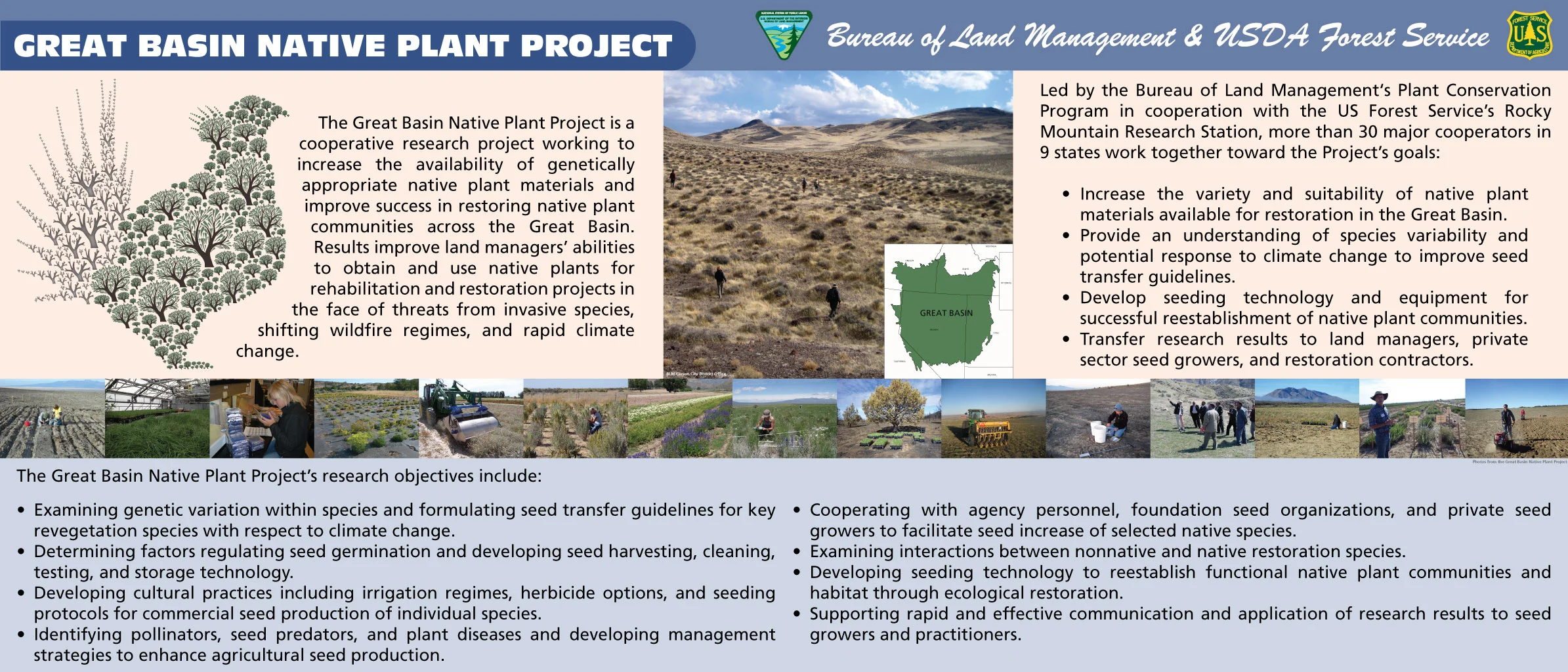 Brochure & Posters — The Great Basin Native Plant Project