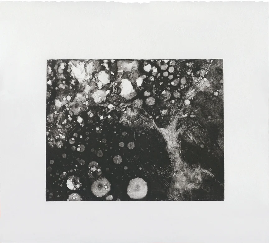 “Agitated Tree,” monoprint, 15 x 22 inches (shown cropped), 2018.