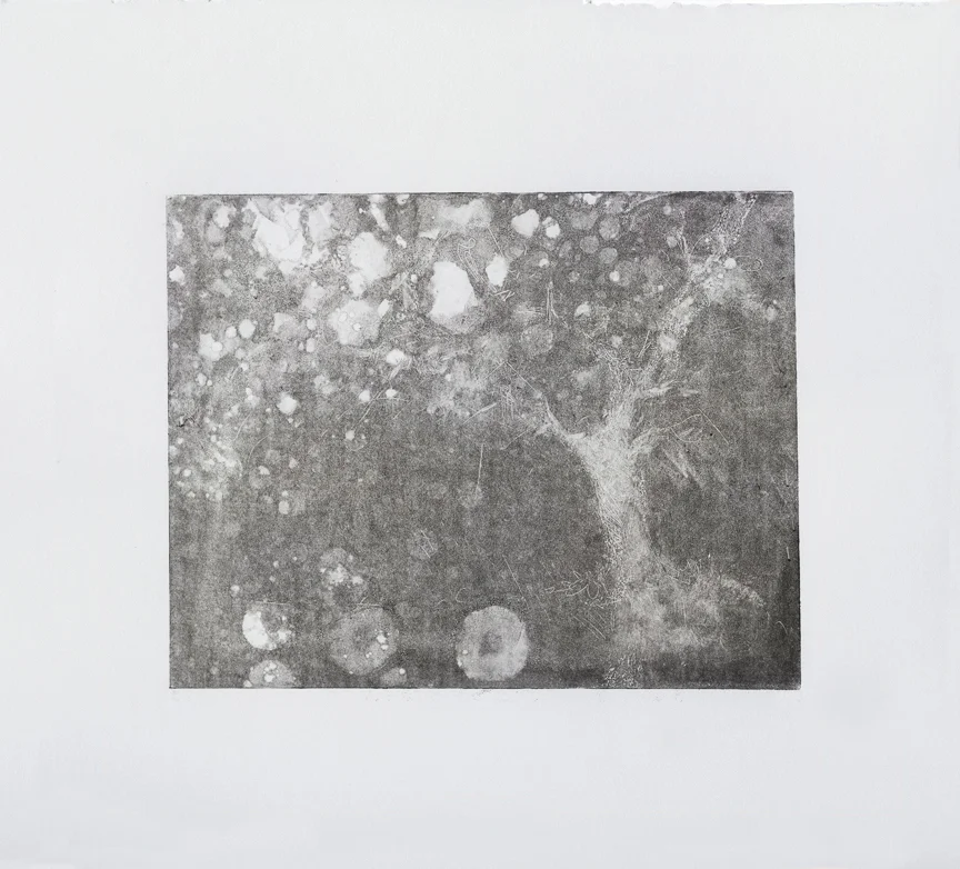 “Agitated Tree: Ghost Run,” monoprint, 15 x 22 inches (shown cropped), 2018.