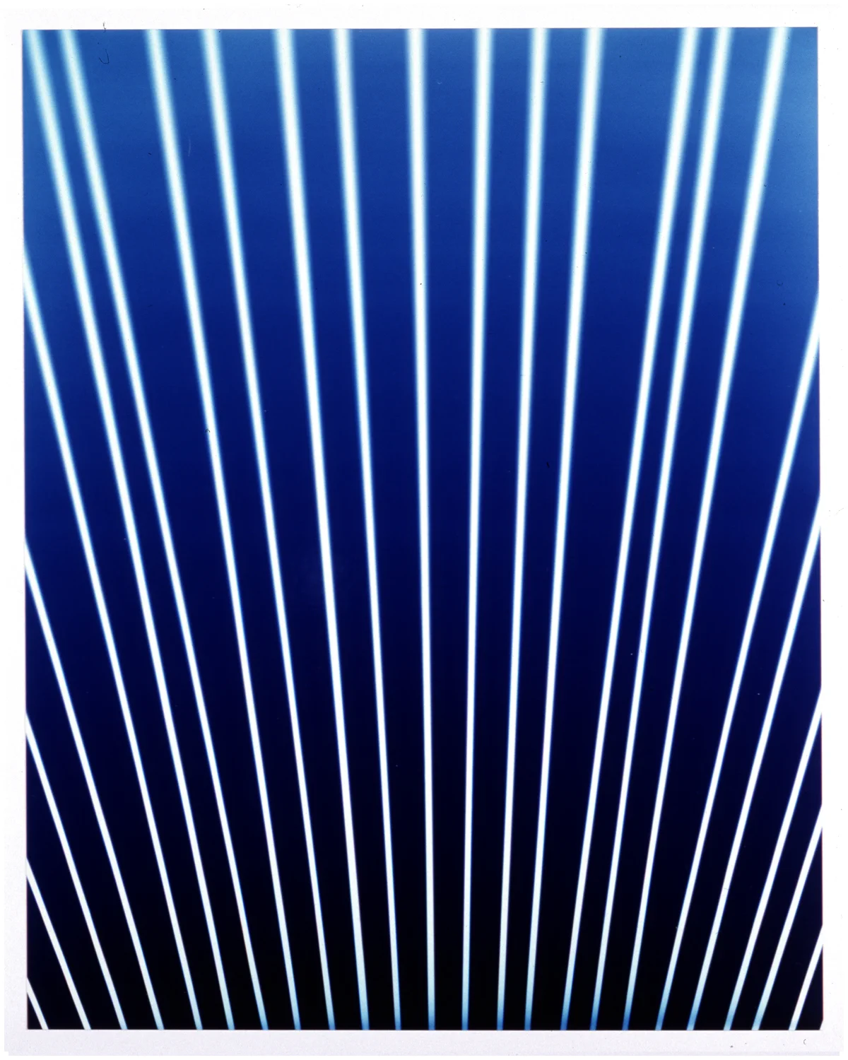 Ellen Carey, Ray Bands