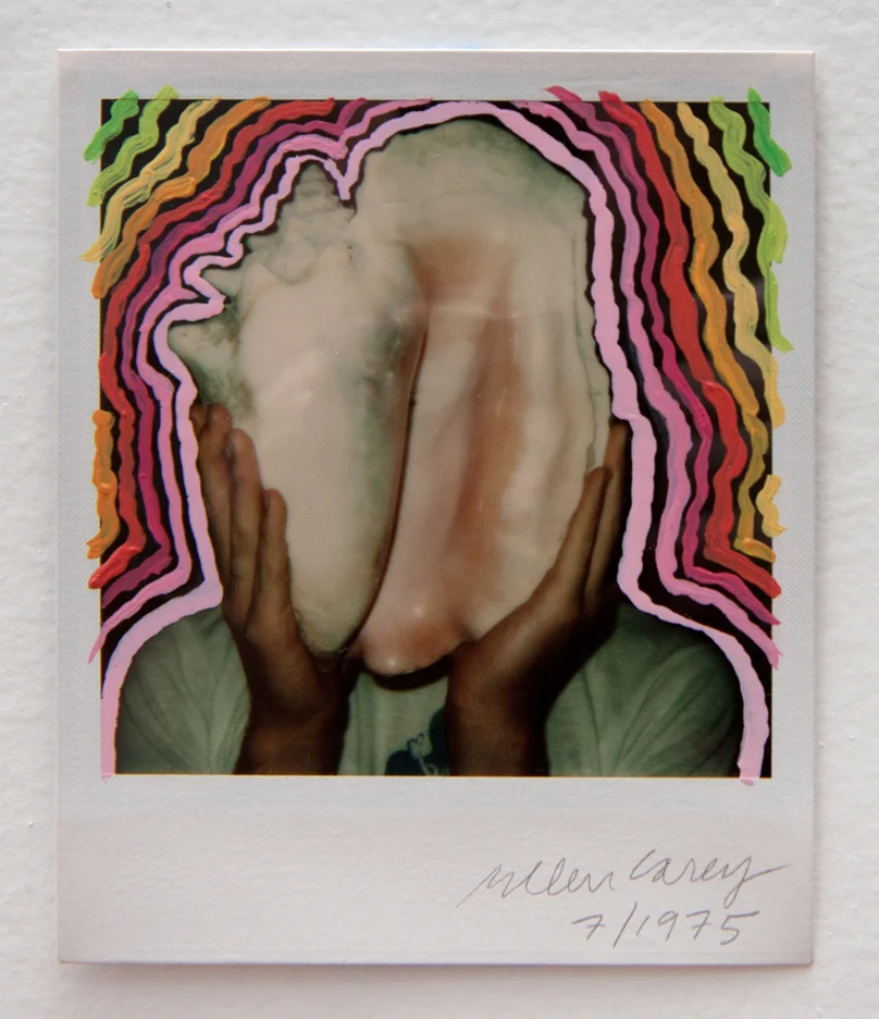 Carey_The_SX-70_Shell_&_Rays_1975.jpg