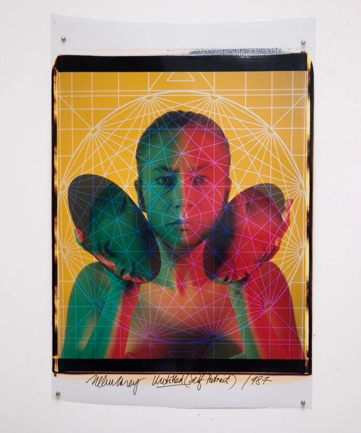 Ellen Carey, Polaroid 20 x 24 Self-Portrait Series, 1984–1987