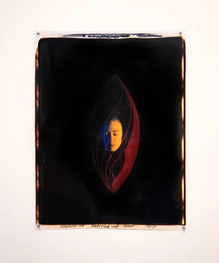 Ellen Carey, Polaroid 20 x 24 Self-Portrait Series, 1984–1987