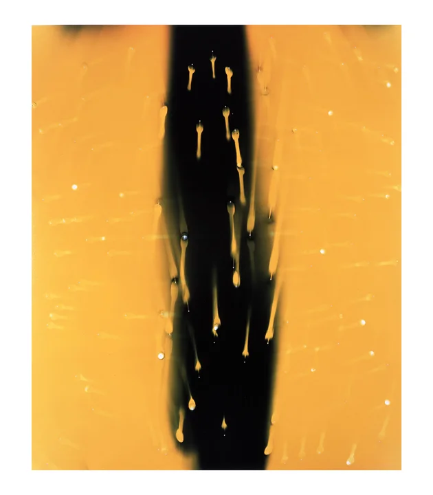 Ellen Carey, Push Pins, Experimental Photography, Photograms