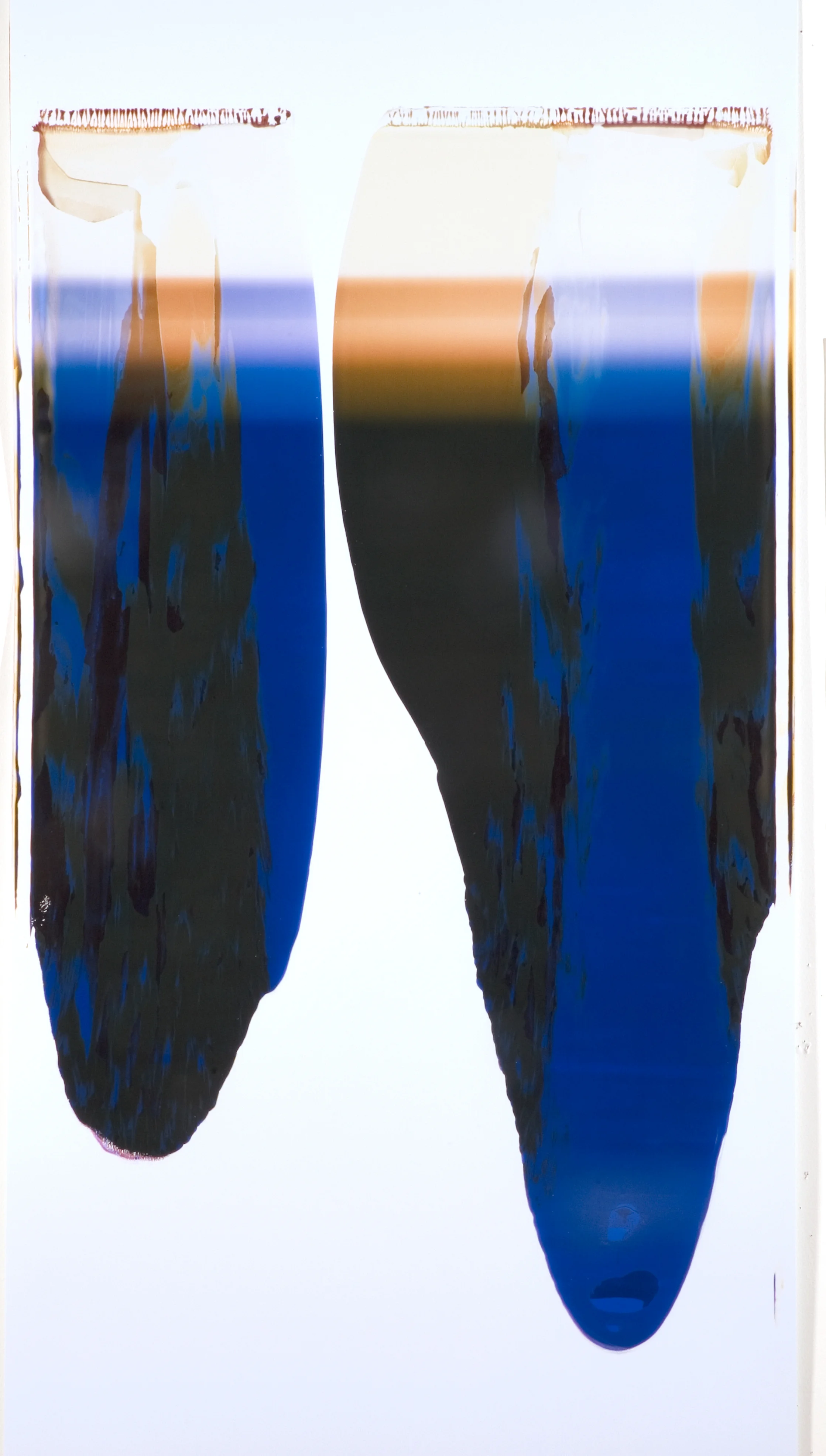 Ellen Carey, Pulls & Rollbacks, Polaroid
