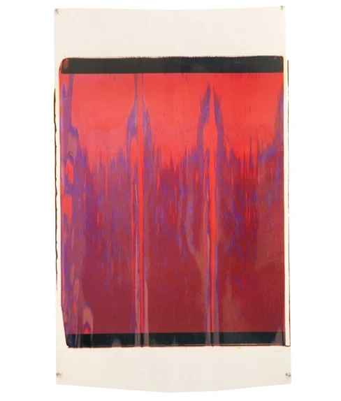 Ellen Carey, Moires