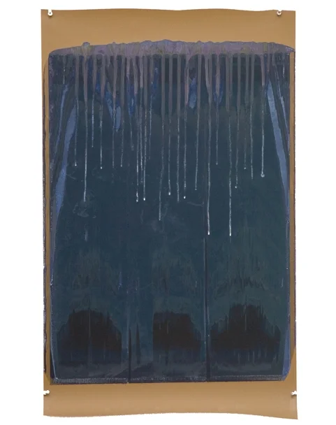 Ellen Carey, Moires