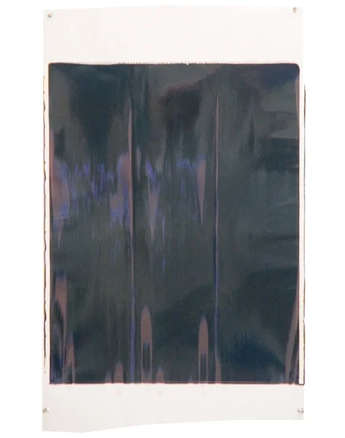 Ellen Carey, Moires
