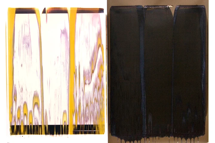 Ellen Carey, Monochromes