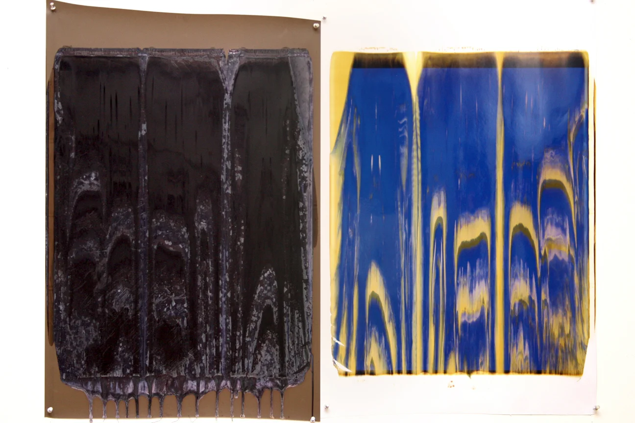 Ellen Carey, Monochromes