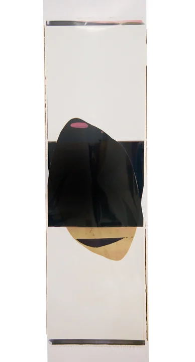 Ellen Carey, Pulls & Rollbacks, Polaroid