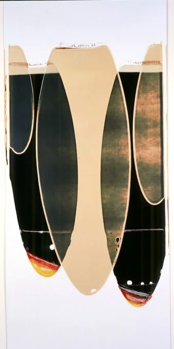 Ellen Carey, Pulls & Rollbacks, Polaroid