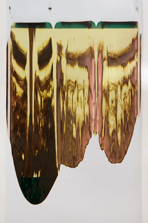 Ellen Carey, Pulls & Rollbacks, Polaroid
