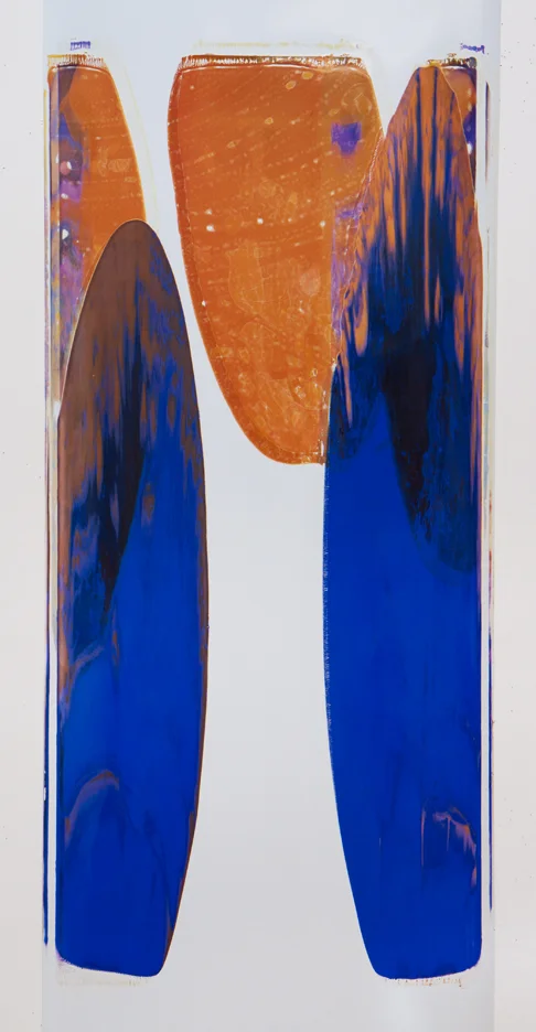 Ellen Carey, Pulls & Rollbacks, Polaroid