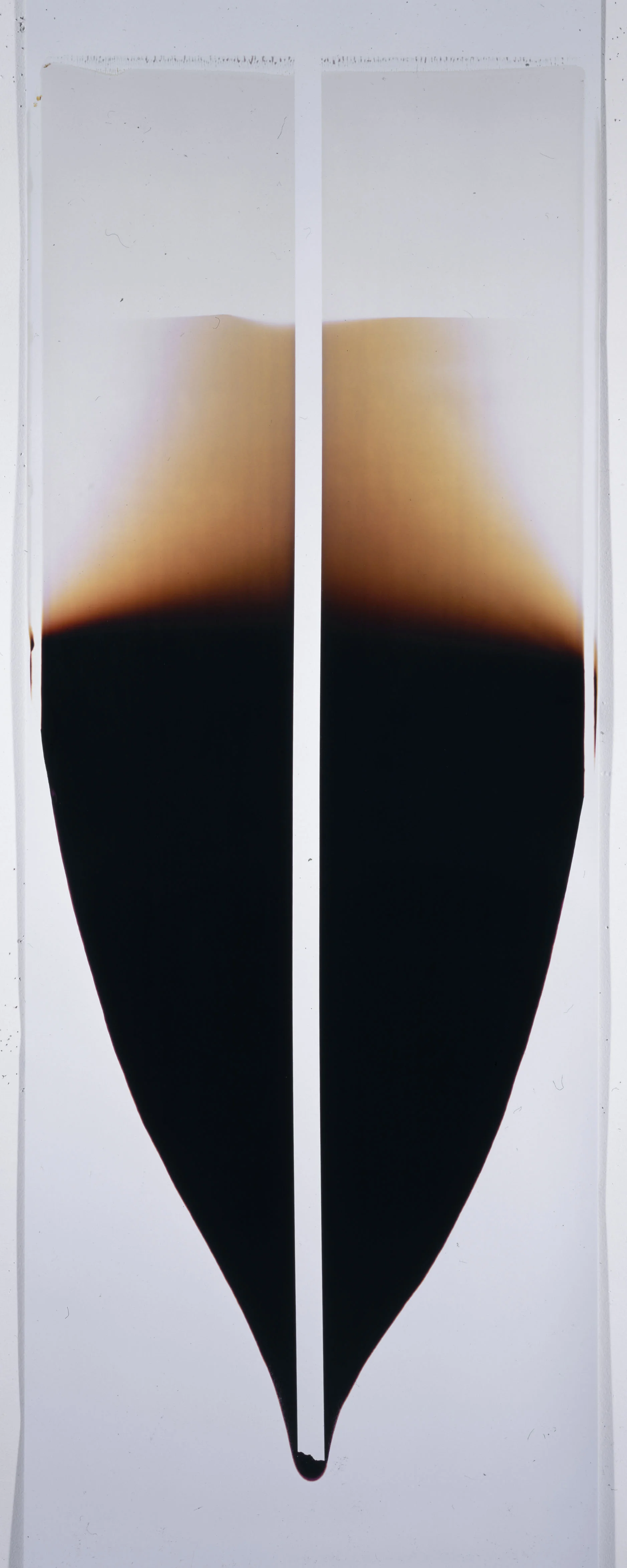 Ellen Carey, Pulls & Rollbacks, Polaroid