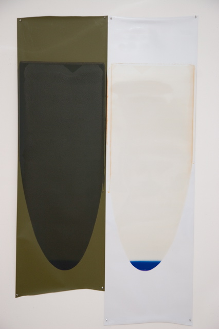 Ellen Carey, Pulls & Rollbacks, Polaroid