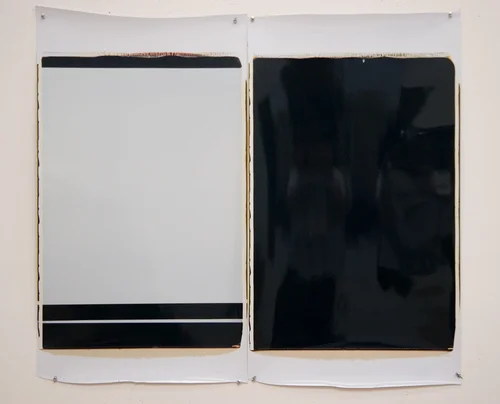 Ellen Carey, Monochromes