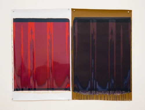 Ellen Carey, Monochromes
