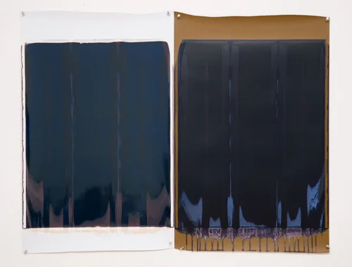Ellen Carey, Monochromes