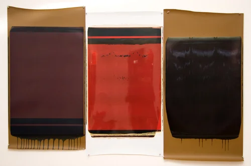 Ellen Carey, Monochromes