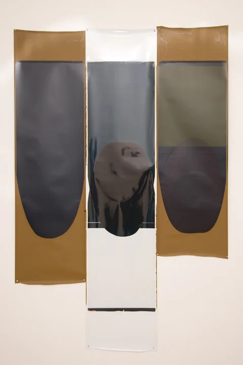 Ellen Carey, Pulls & Rollbacks, Polaroid
