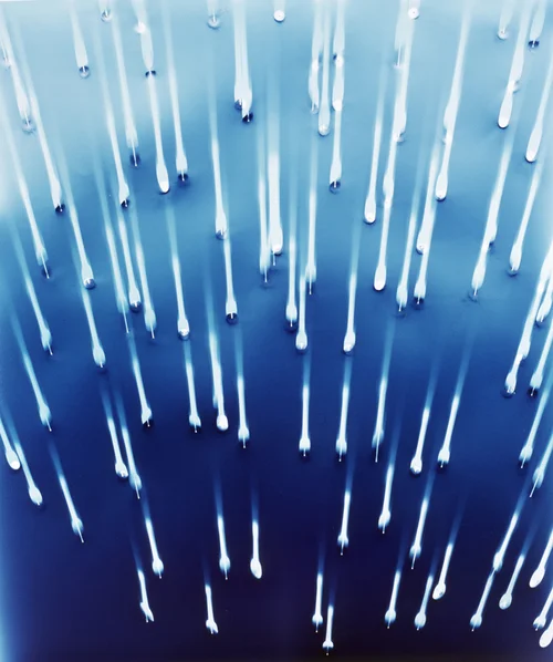 Ellen Carey, Push Pins, Experimental Photography, Photograms