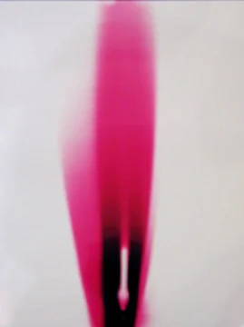Ellen Carey, Push Pins, Photogram