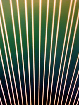 Ellen Carey, Ray Bands